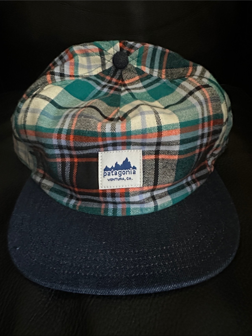 Patagonia Range Cap